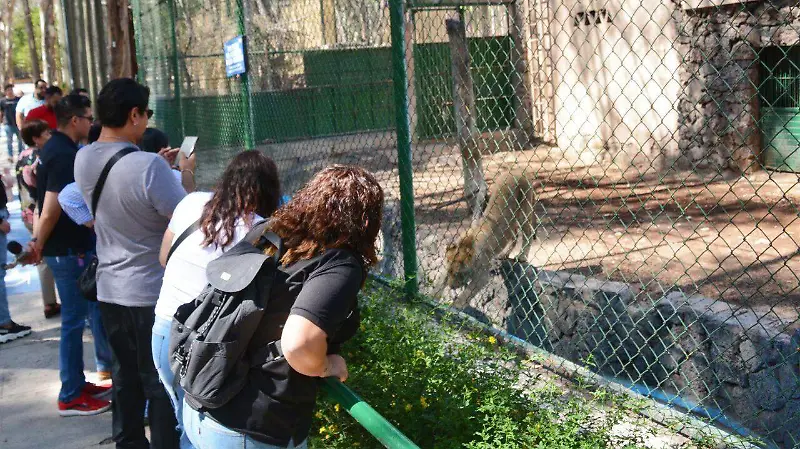 Zoológico Sahuatoba en la ciudad de Durango 